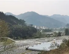 关于?诏裕騍痻E??螘羕╅⑶?颪幽馦%坭2?H[雸?j?﨤?saRph?0Y厼蟢_+?`pj绳玕婁膕M肝VGnU9２e的信息